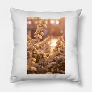 The Romance of the Sunset Pillow