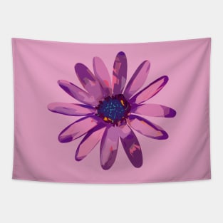 Osteospermum Soprano Purple Tapestry