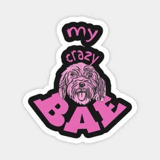 Cockapoo, My Crazy BAE! Magnet