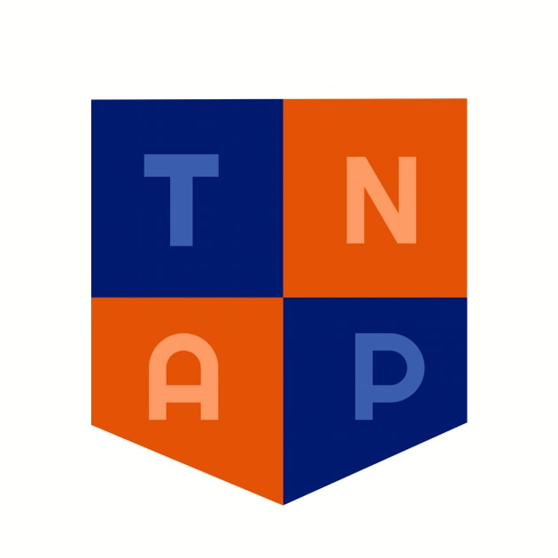 TNAP Orange and Blue Shield Icon (Small) by The Nerd Academy Student Store