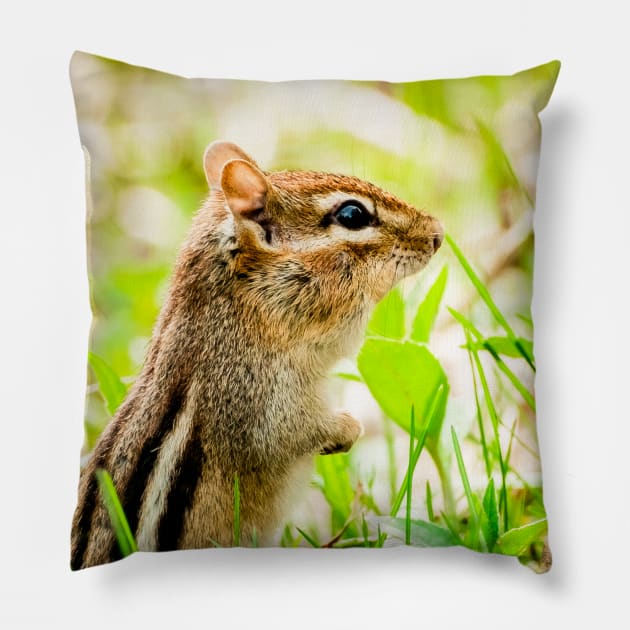 Curious Little Chipmunk in the Grass Photograph Pillow by love-fi