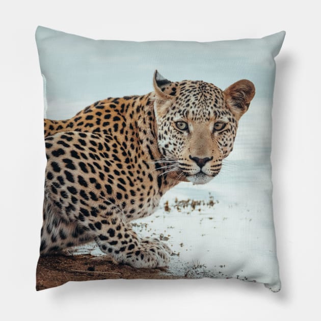 Staring Leopard Pillow by withluke