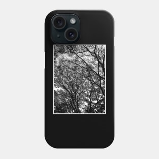 Big tree Phone Case