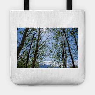 Colorado Mountain 5 Tote