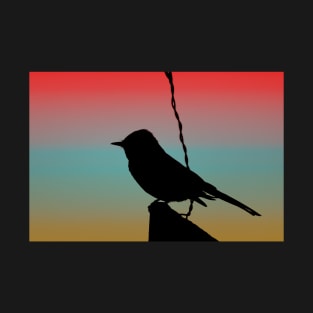 Black Phoebe on Sign Silhouette on Tuscan Sunset T-Shirt