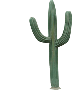 CACTUS Magnet