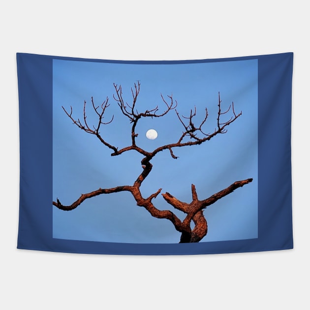 Antlers Tapestry by Dead Moroz