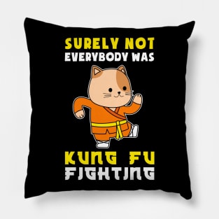 CUTE KUNG FU CAT JAPANESE Pillow