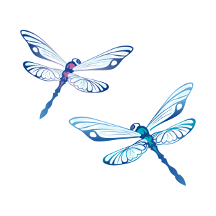 Dragonfly T-Shirt