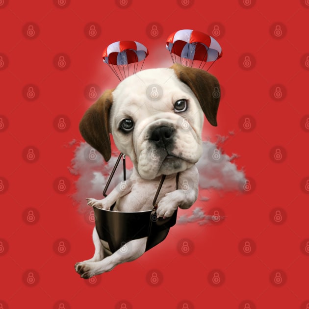 BULLDOG PARACHUTING by ADAMLAWLESS