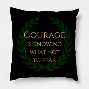 Courage is knowing what not to fear. Pillow