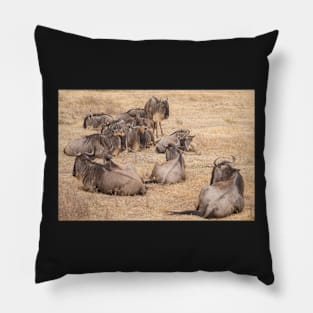 Wildebeest (Ngorogoro Crater) #4 Pillow