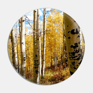 Fall in Colorado - Crested Butte Pin