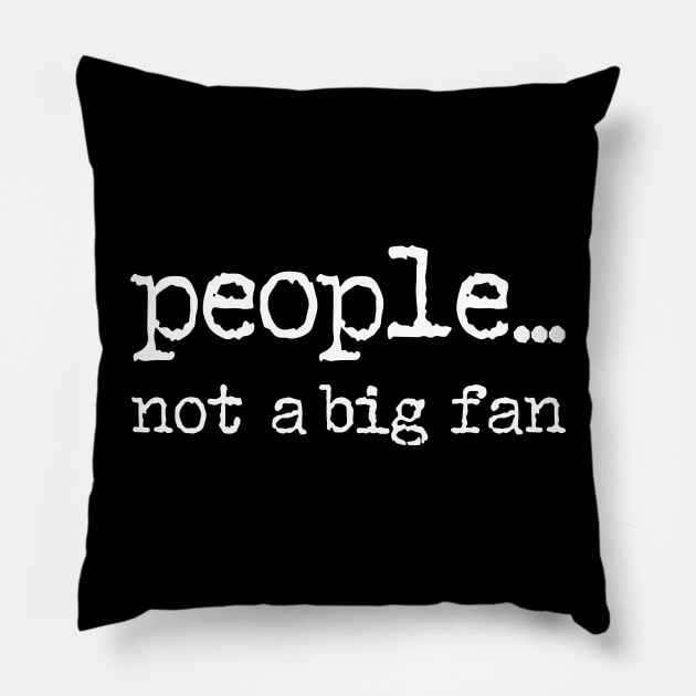 People Not a Big Fan Pillow by binding classroom