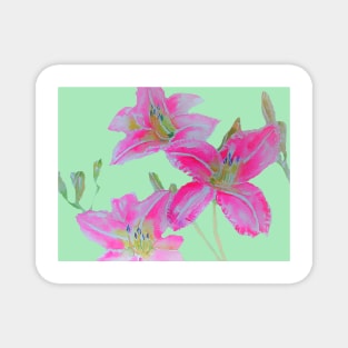 Pink Lily Flowers floral Watercolor Painting Mint Green Magnet