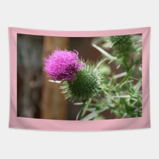 Thistle Tapestry