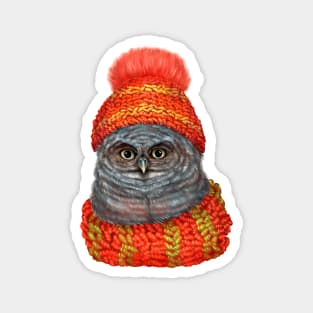 Owl in a hat and scarf. Magnet