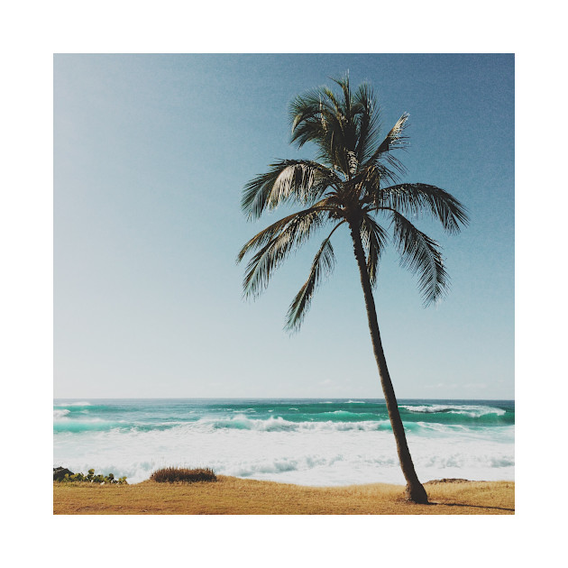 Palm tree by the Beach - Beach - Phone Case