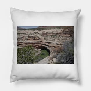 850_3875 Pillow