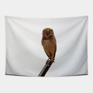 owl Tapestry