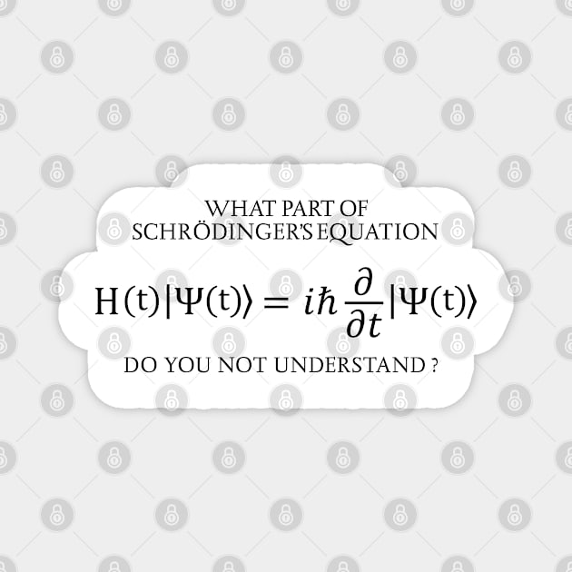 the Schrödinger Equation Magnet by ScienceCorner