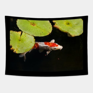 Meditation Wall Art Print - Water Lily and fish Meditation - canvas, Photo print, artboard print, poster Canvas Print Tapestry