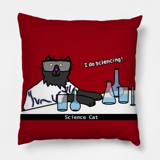 Science Cat doing Science Pillow