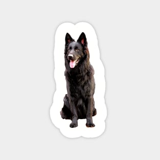 German Shepherd Black Dog Magnet