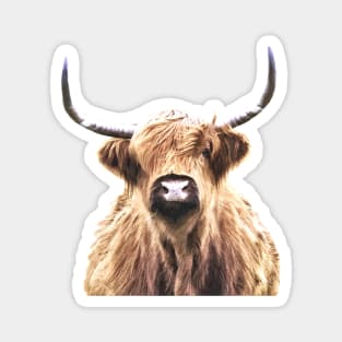 Highland Cow Magnet