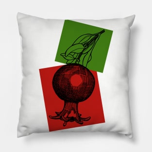 Pomegranate Pillow