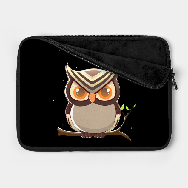 get night owl on laptop