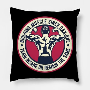 Building muscle Pillow