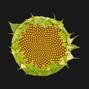Sunflower Fibonacci Seed Spiral T-Shirt