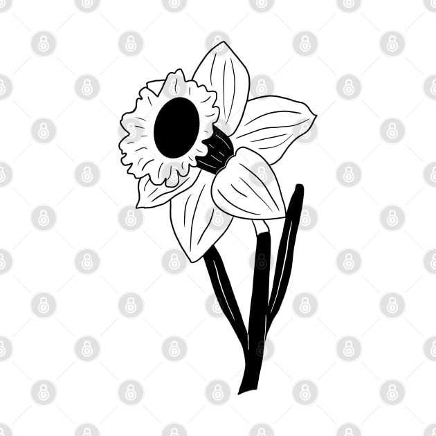 Black and White Daffodil Flower by bloomingviolets