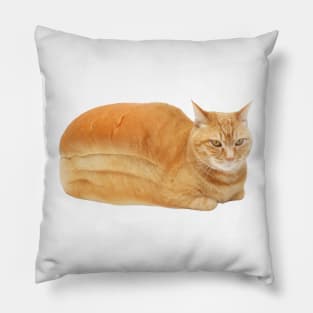 Cat loaf Pillow