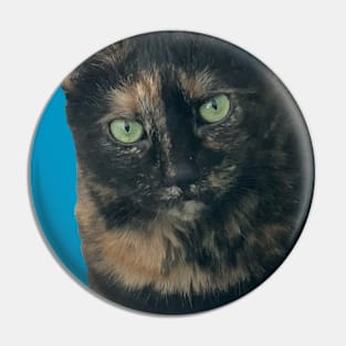 Tortie Closeup Pin