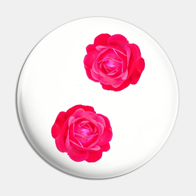 Two pink roses Pin by ghjura