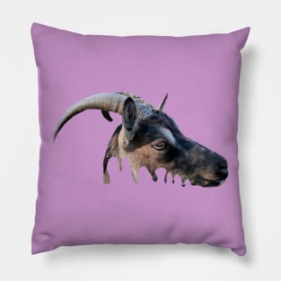 Goat head Pillow