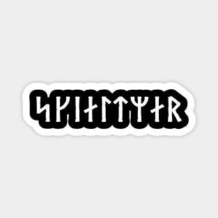 shieldmaiden runeword Magnet