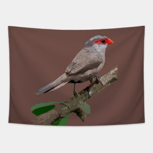 Common Waxbill or St Helena Waxbill Tapestry