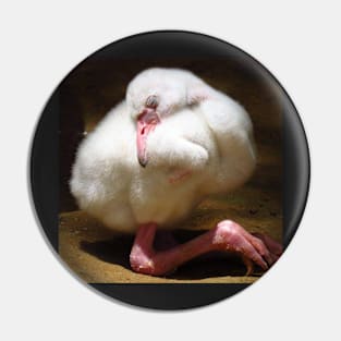 Caribbean Flamingo chick Pin