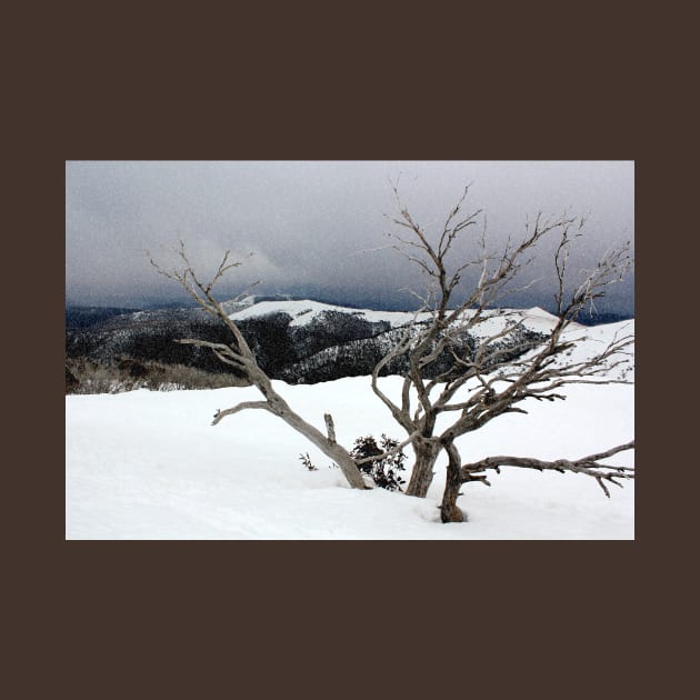 A snowstorm on a mountainside in Australia by jwwallace