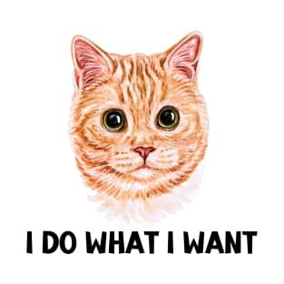 I DO WHAT I WANT | Girl Cat | Baby Cat | Cartoon Cat | Cat Man T-Shirt