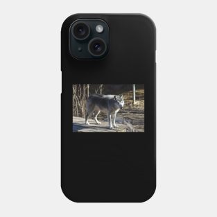 Wolf Phone Case