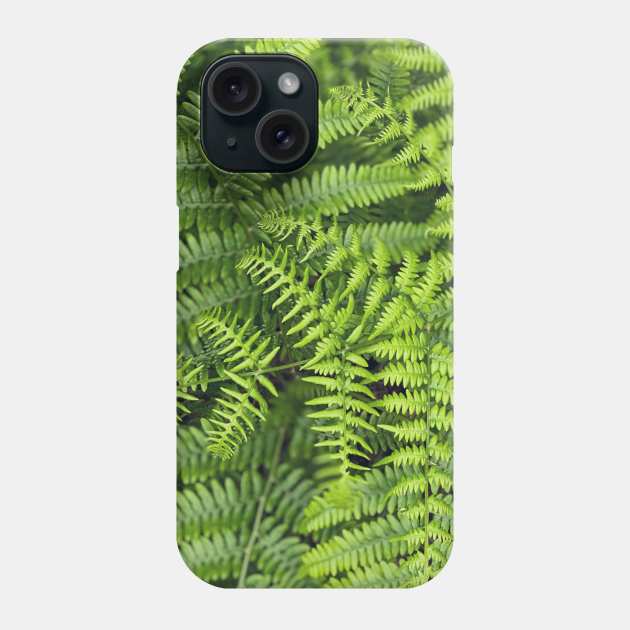 Ferns Phone Case by Nicholas Lee