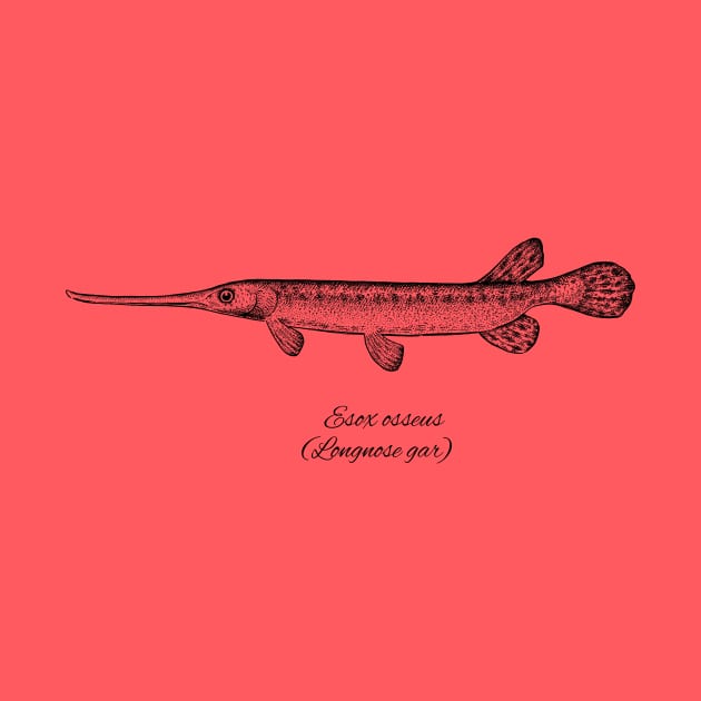 ESOX OSSEUS by eugeniahauss