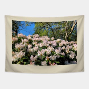 Rhododendrons under a blue sky Tapestry