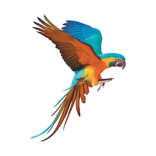 Gorgeous Blue and Gold Macaw illustration, realistically drawn display it’s beautiful colours. Great bird lovers gift. T-Shirt