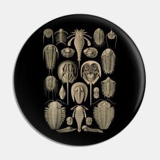 Ernst Haeckel Aspidonia Pin