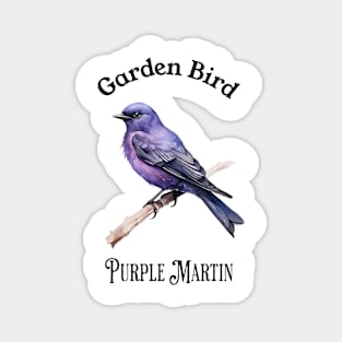 Garden Bird Purple Martin Magnet